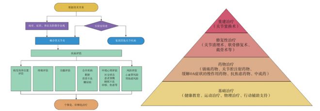 Bsport·B体育骨关节炎该怎么治？多篇指南送你答案(图2)