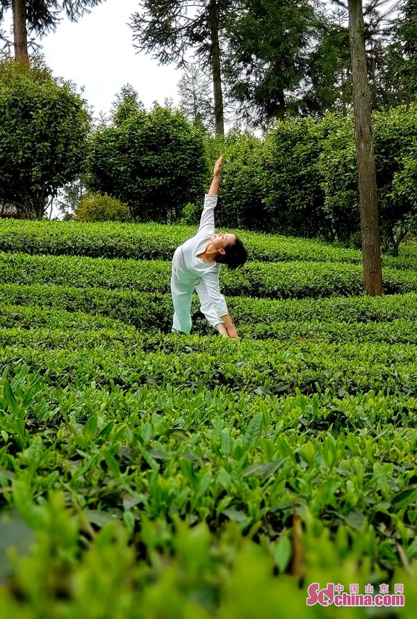 B体育在凤冈爱上禅茶瑜伽(图4)